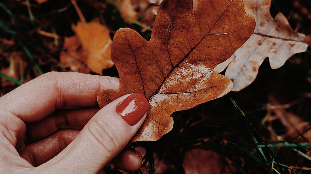 Suplementacja magnezu jesienią
